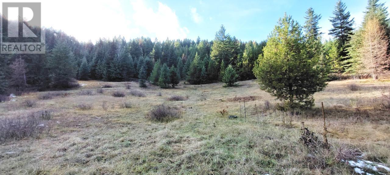 Lot 1213s Ingram Creek Forest Service Road Property Photo 3