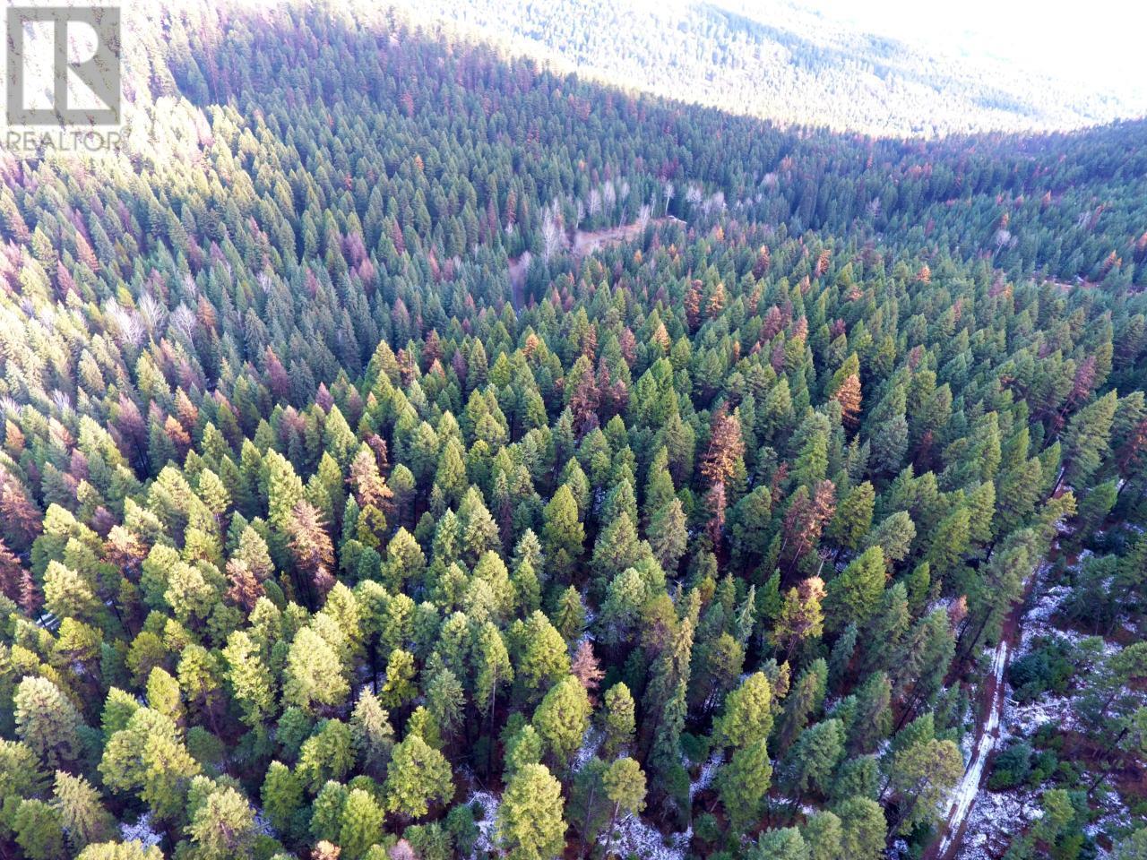 Lot 1213s Ingram Creek Forest Service Road Property Photo 4
