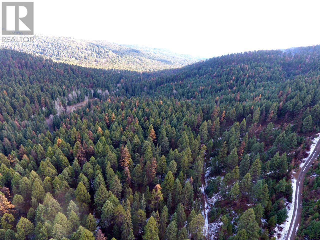 Lot 1213s Ingram Creek Forest Service Road Property Photo 5