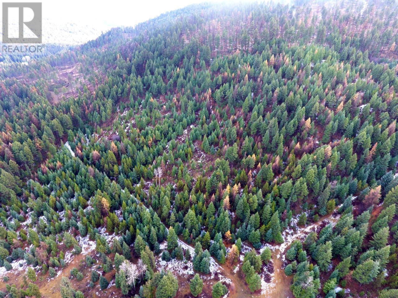 Lot 1213s Ingram Creek Forest Service Road Property Photo 6