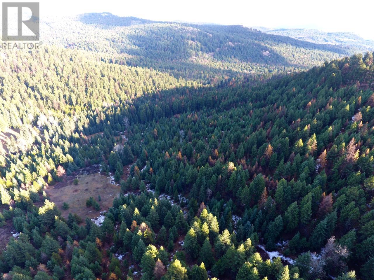 Lot 1213s Ingram Creek Forest Service Road Property Photo 9