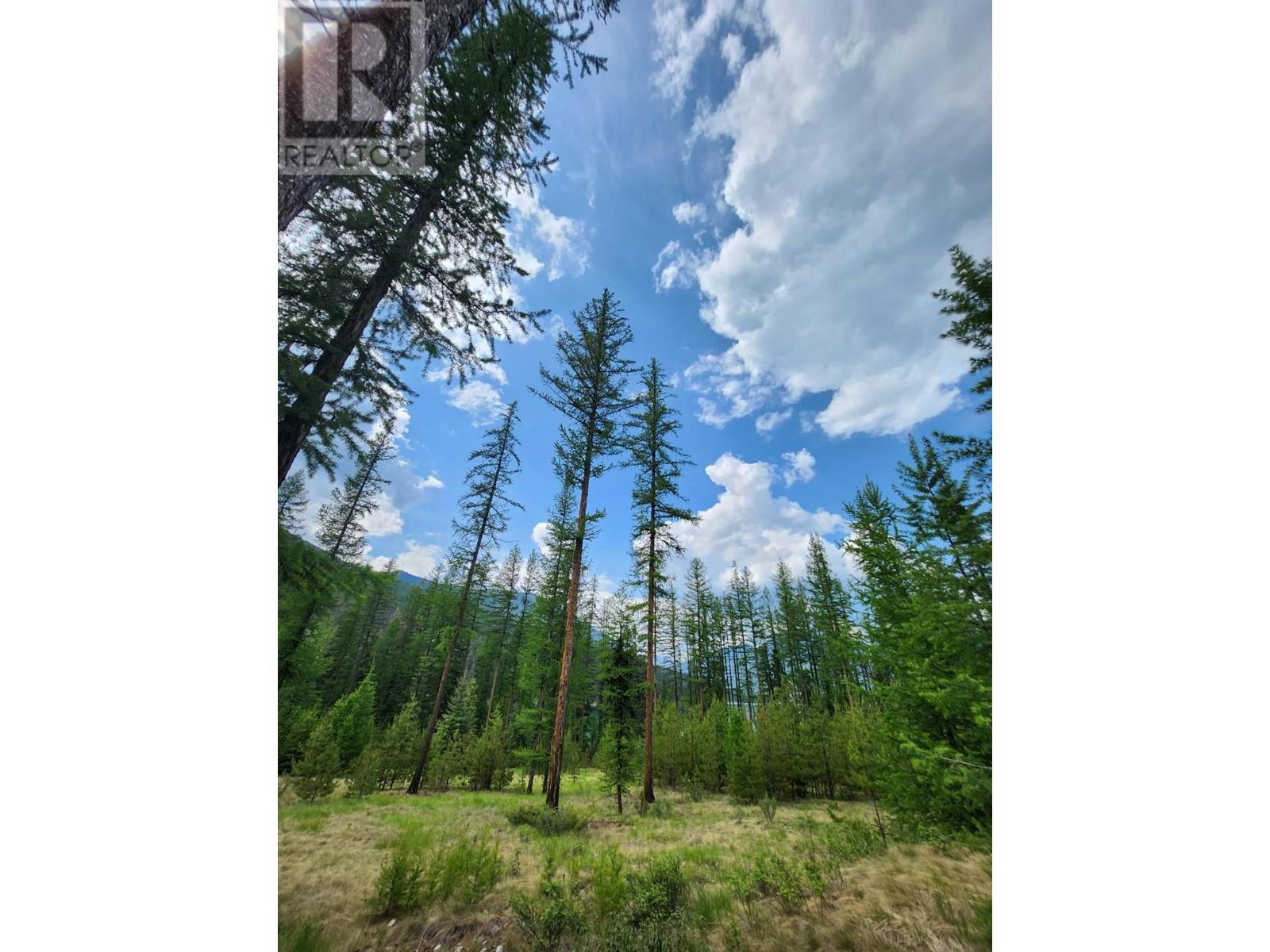 Lot 3 Whitetail Lake Road Property Photo 4