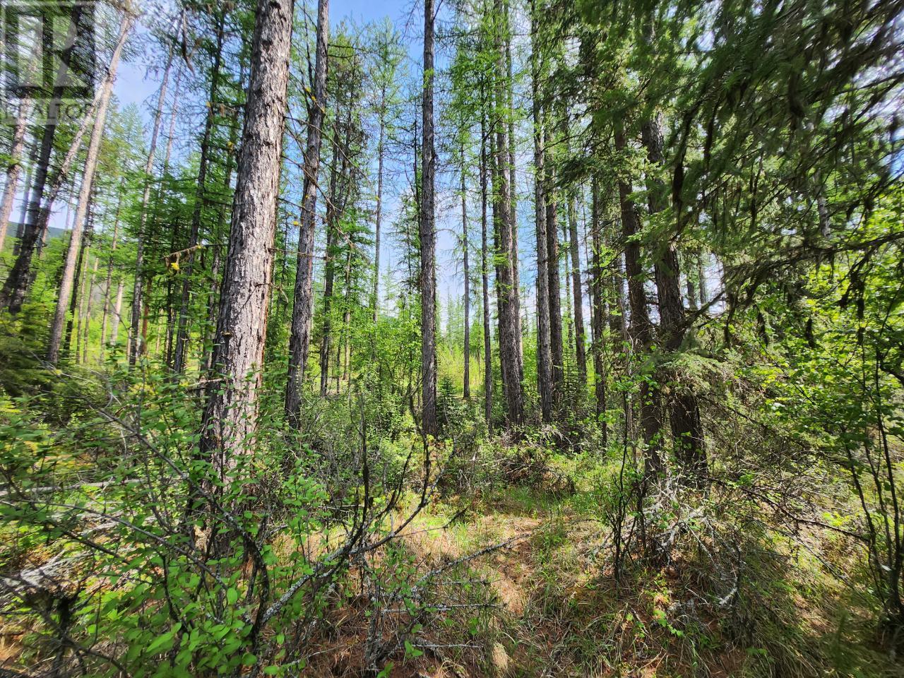 Lot 3 Whitetail Lake Road Property Photo 5