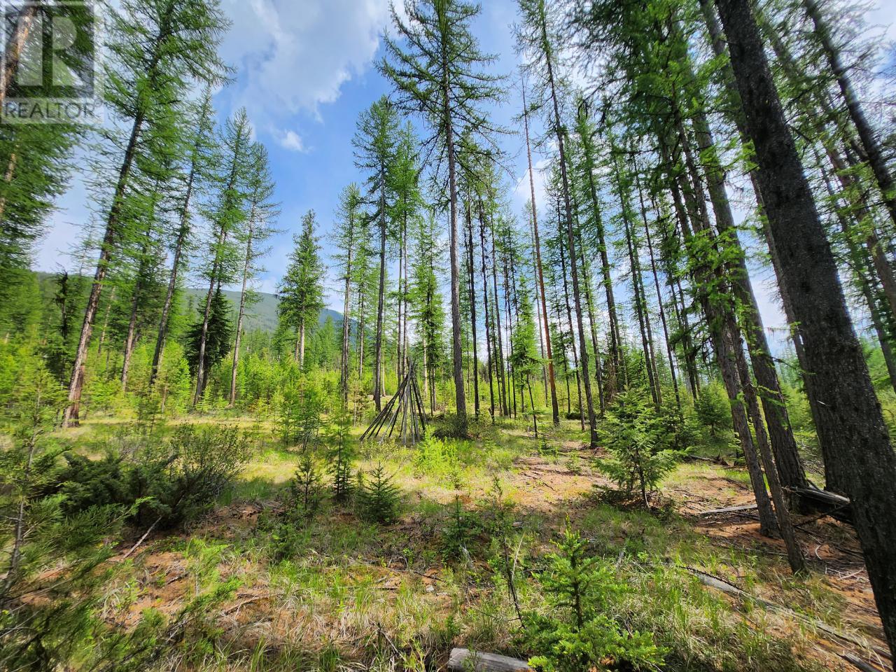 Lot 3 Whitetail Lake Road Property Photo 10