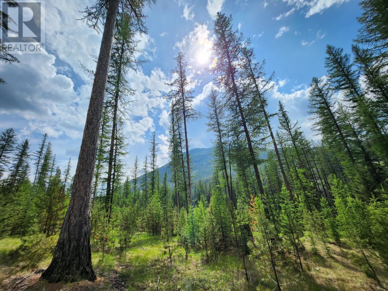 Lot 3 Whitetail Lake Road Property Photo 12