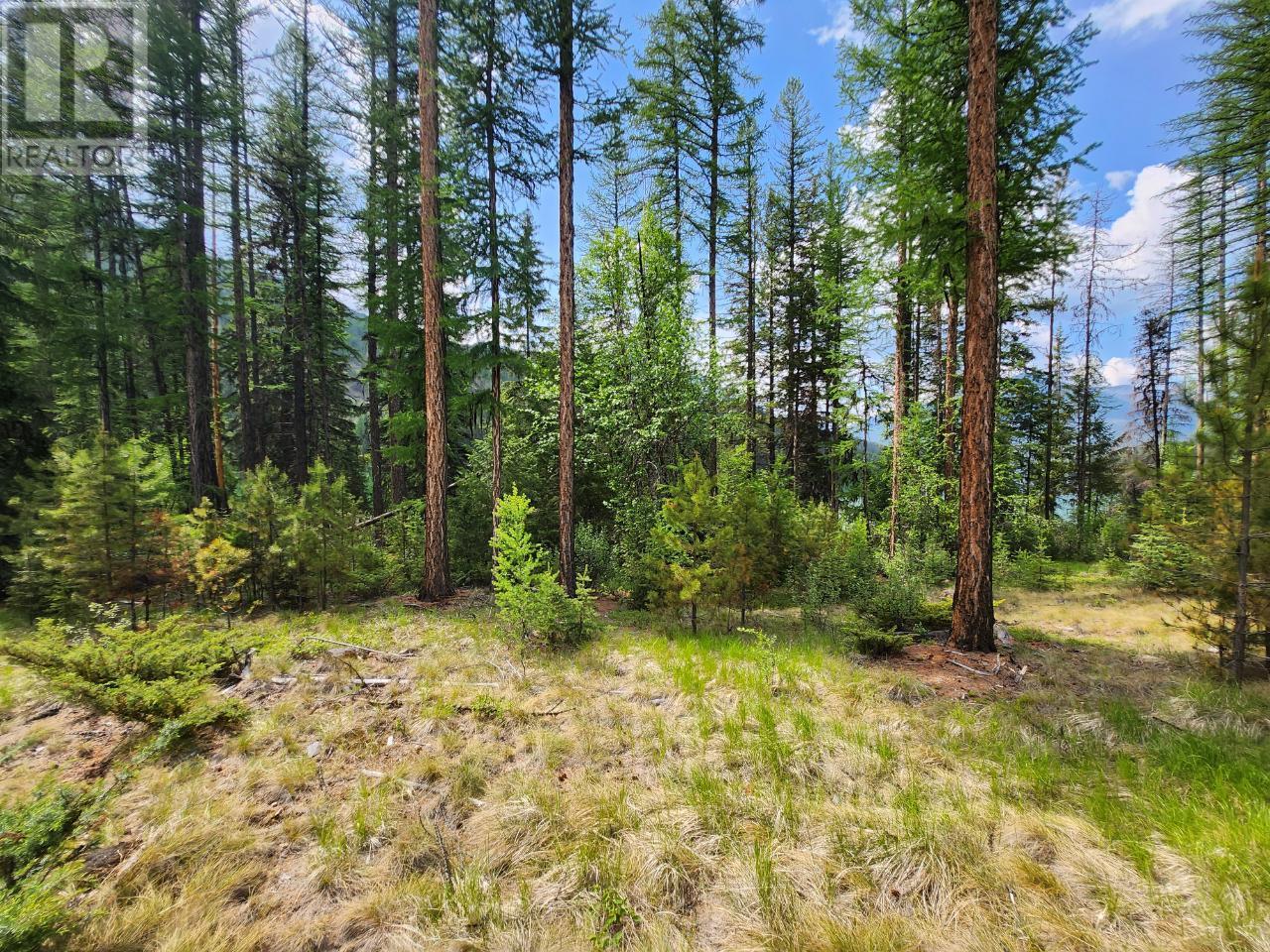 Lot 3 Whitetail Lake Road Property Photo 15