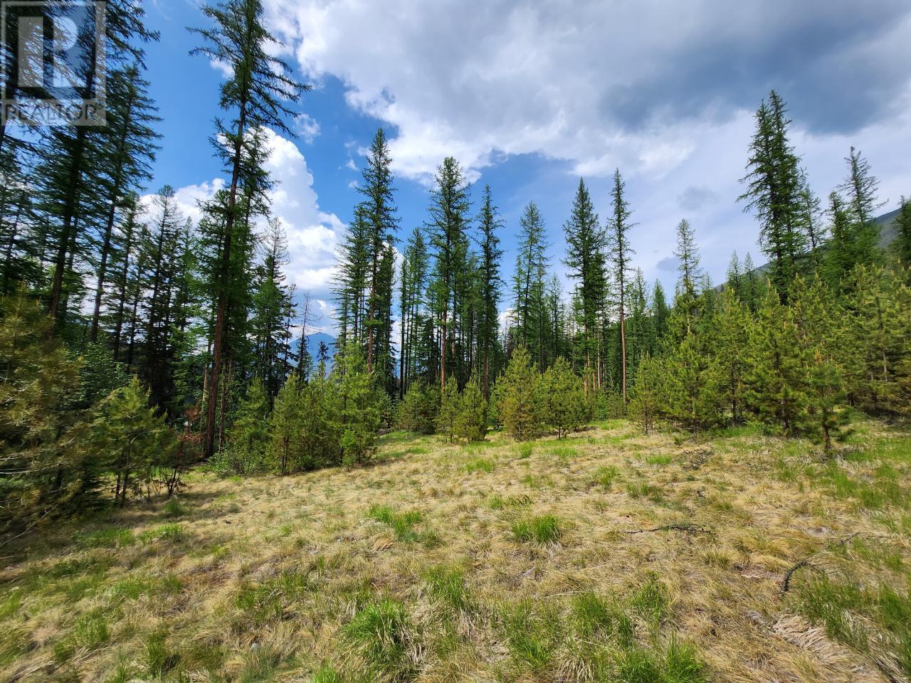 Lot 3 Whitetail Lake Road Property Photo 17