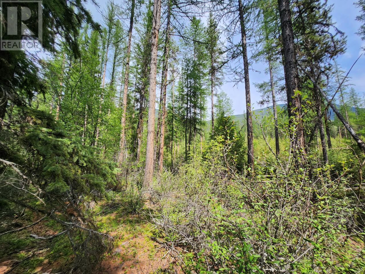 Lot 3 Whitetail Lake Road Property Photo 19