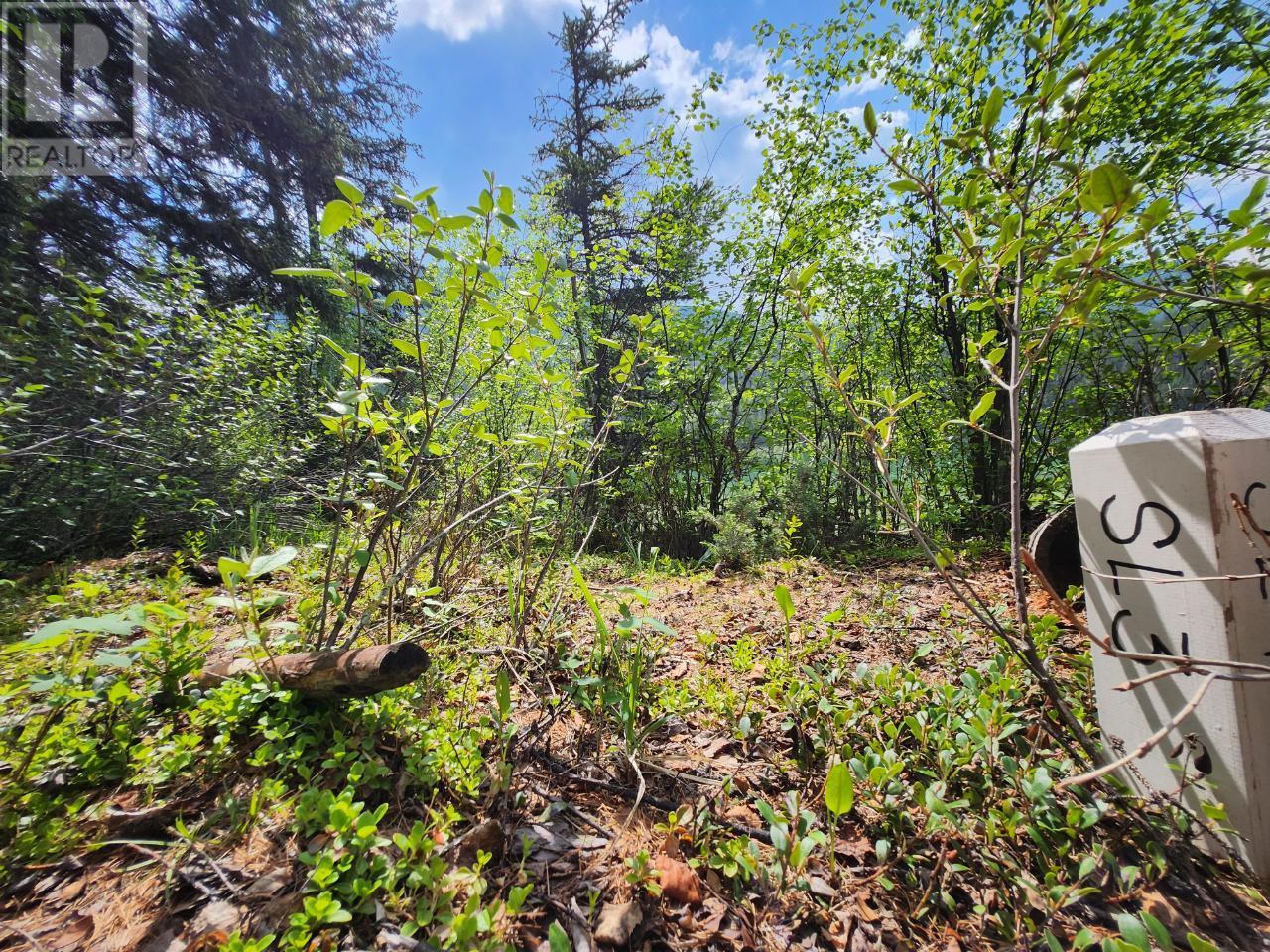 Lot 3 Whitetail Lake Road Property Photo 24