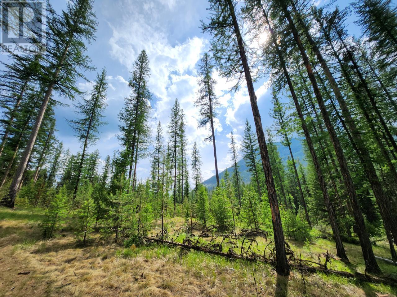 Lot 3 Whitetail Lake Road Property Photo 25
