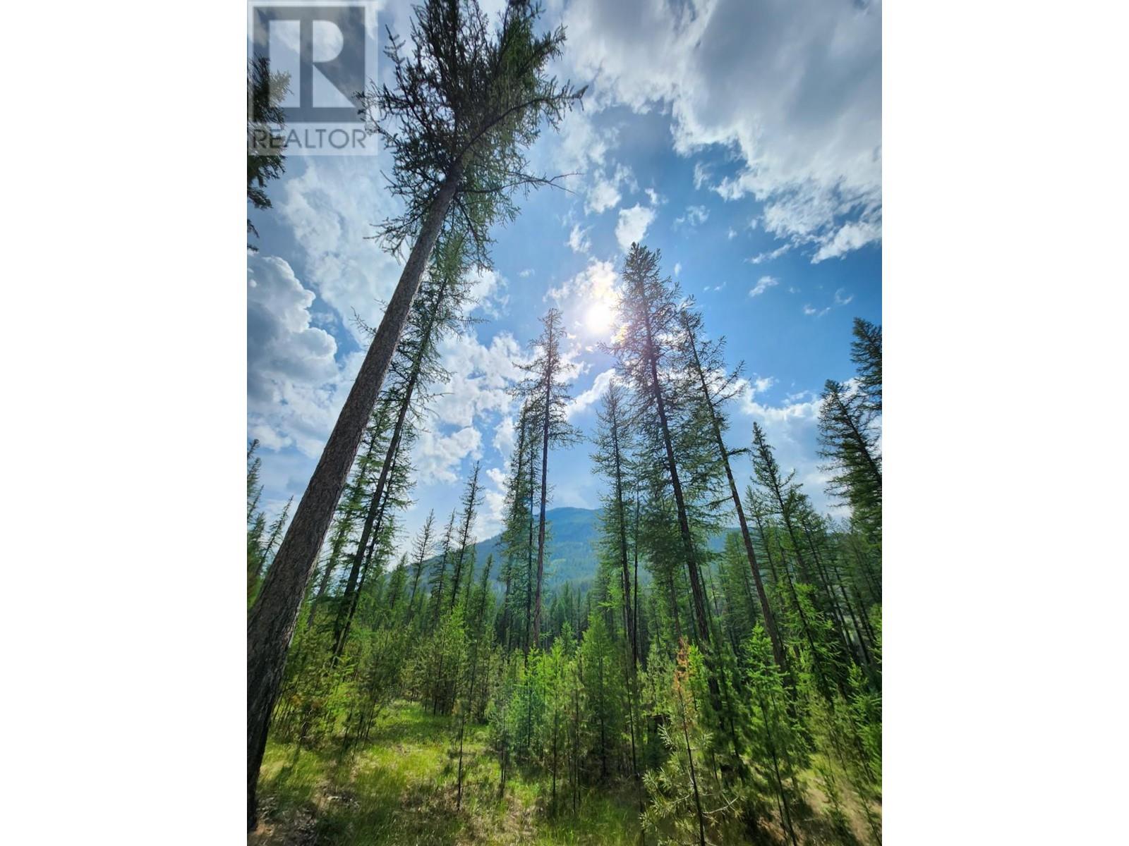 Lot 3 Whitetail Lake Road Property Photo 26