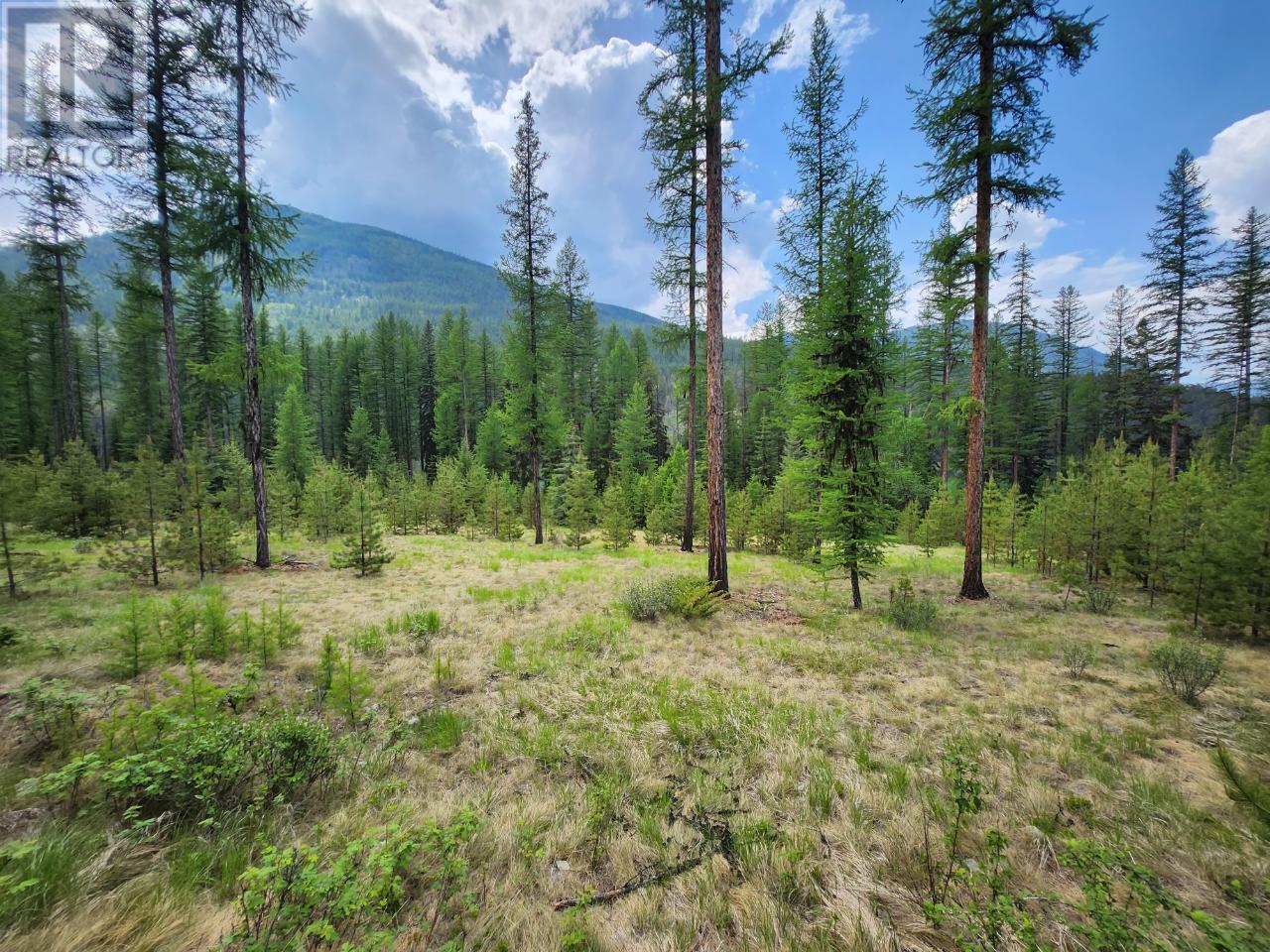 Lot 3 Whitetail Lake Road Property Photo 27