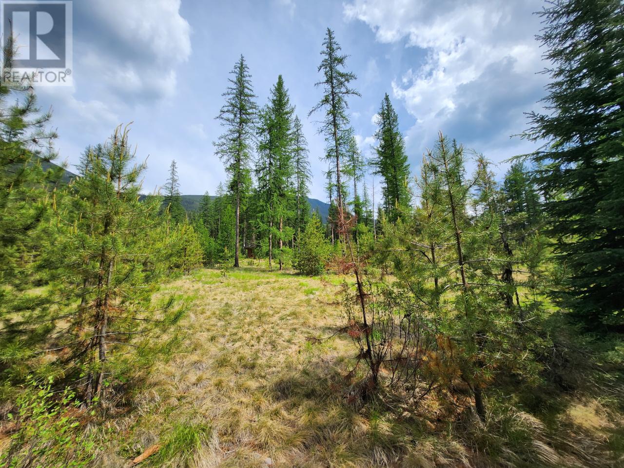 Lot 3 Whitetail Lake Road Property Photo 32