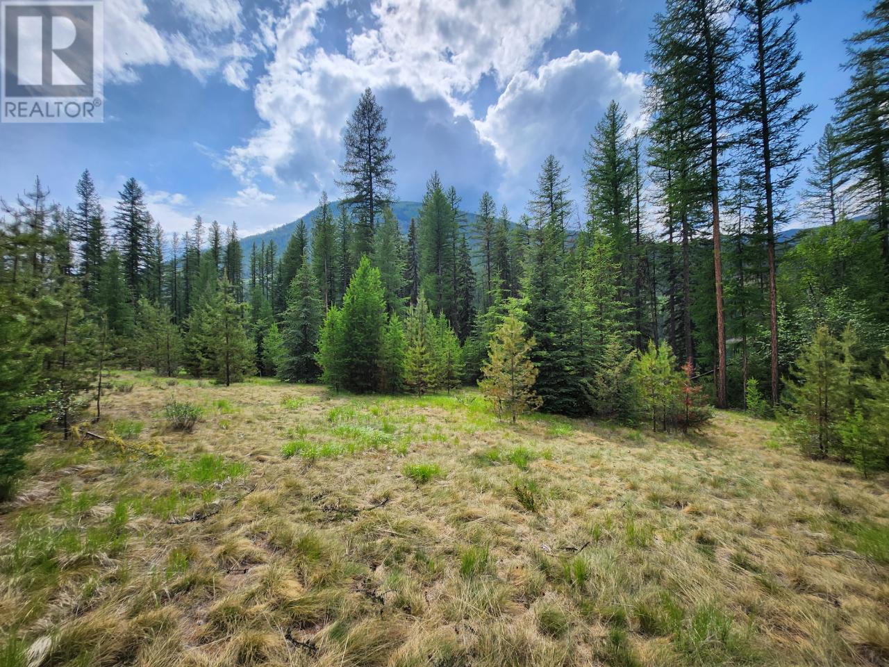 Lot 3 Whitetail Lake Road Property Photo 35