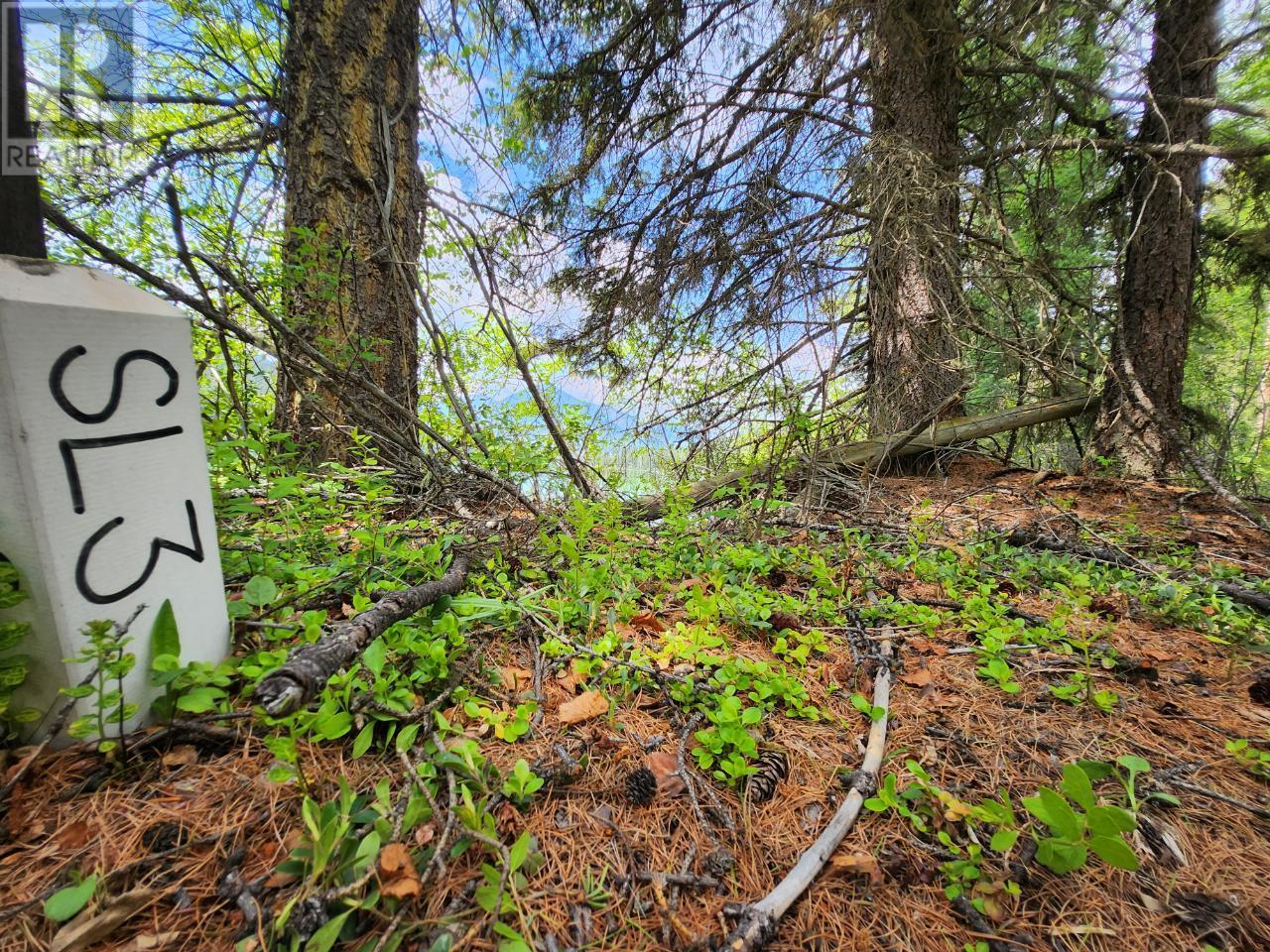 Lot 3 Whitetail Lake Road Property Photo 37