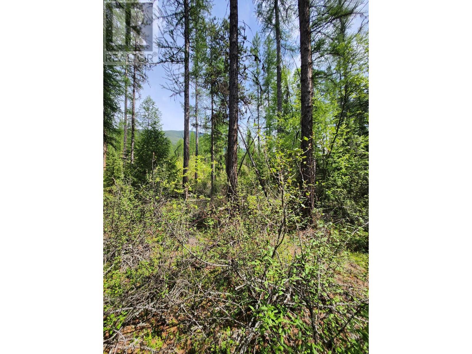 Lot 3 Whitetail Lake Road Property Photo 39