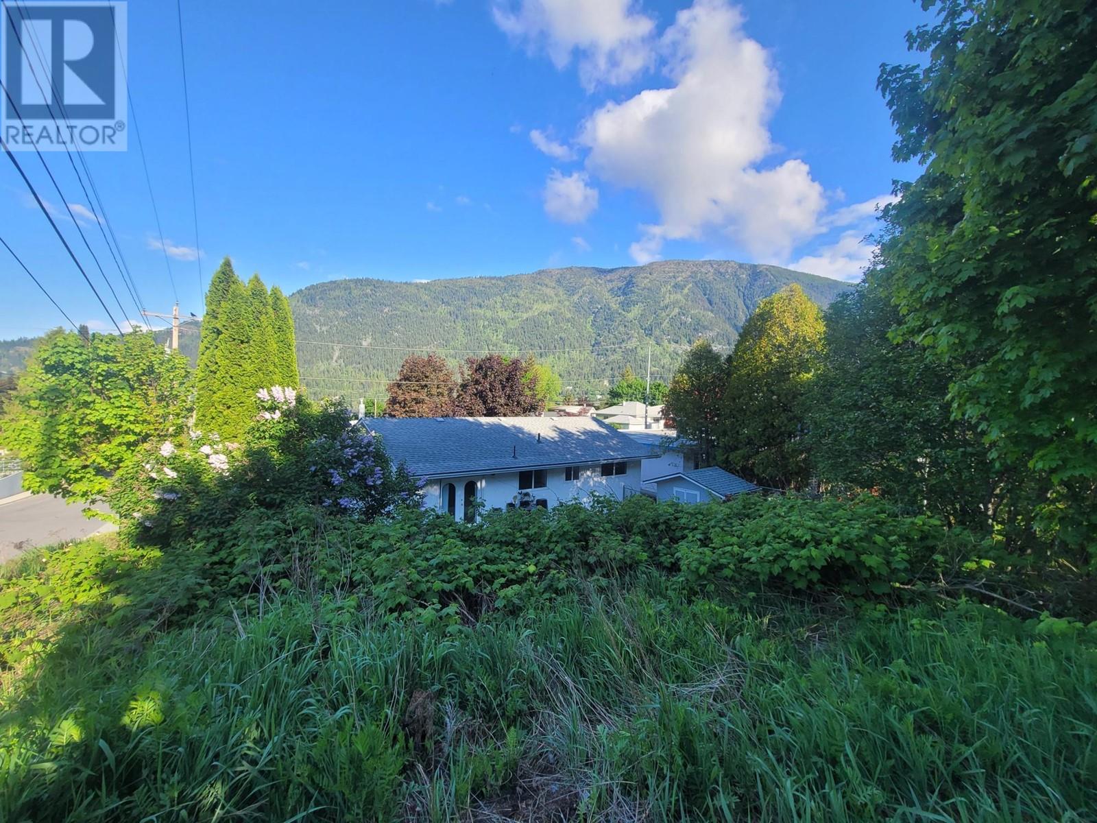 1007 Cottonwood Street Property Photo 2