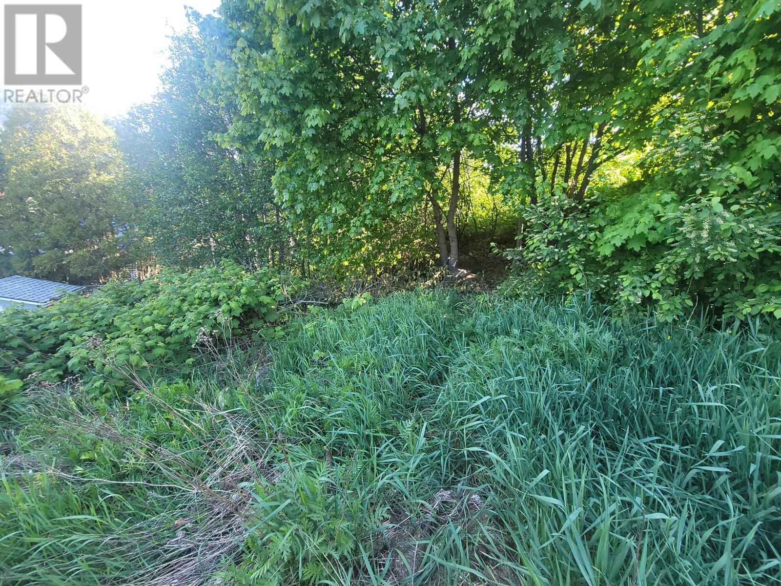1007 Cottonwood Street Property Photo 7
