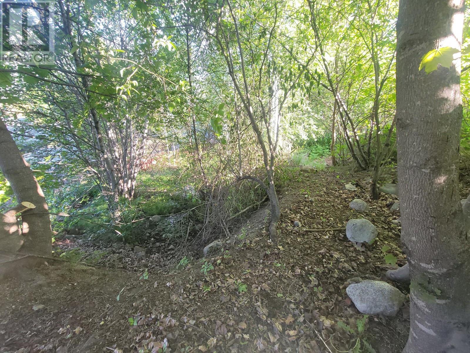 1007 Cottonwood Street Property Photo 8
