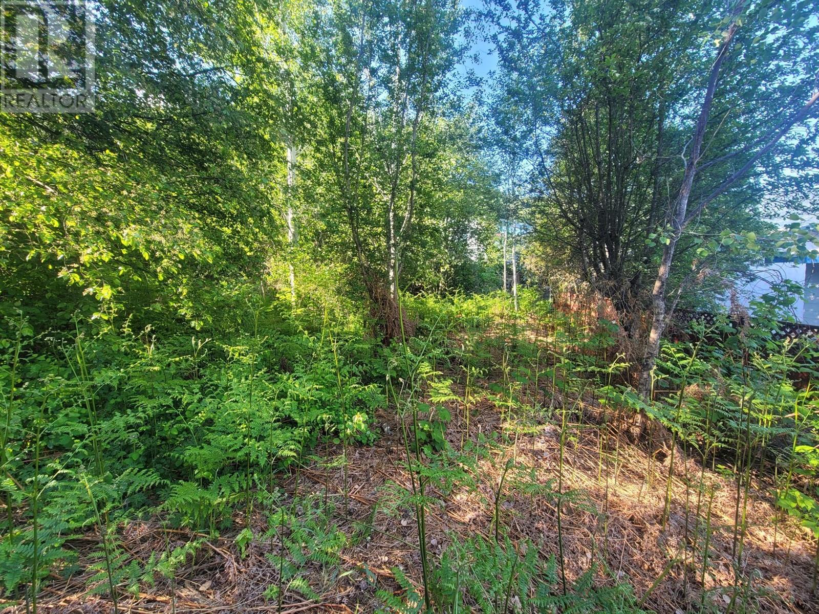 1007 Cottonwood Street Property Photo 9