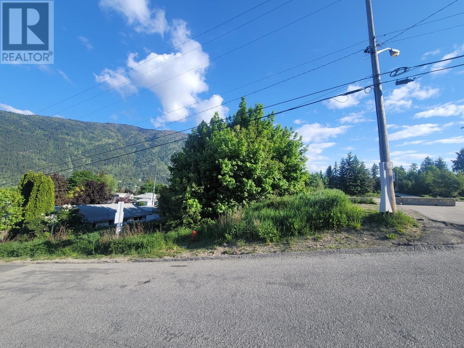 1007 Cottonwood Street Property Photo 12