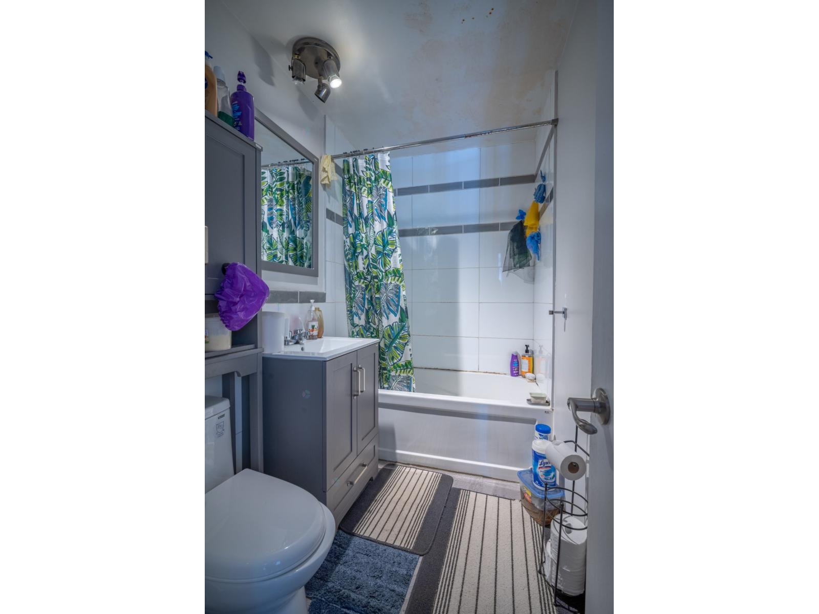 299 Rue Denonville Property Photo 38