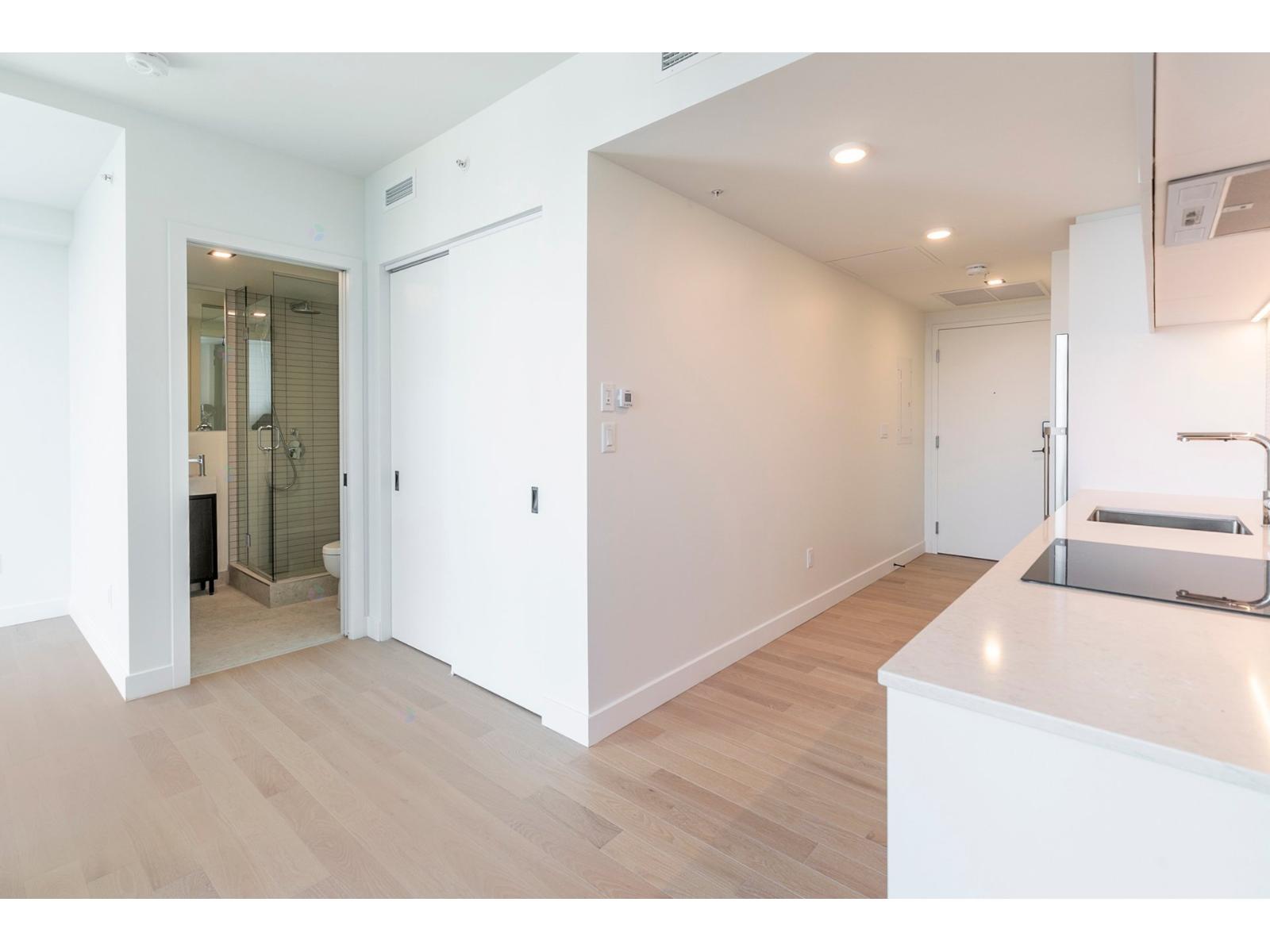 1210 Rue Jeanne-mance, #3807 Property Photo 21