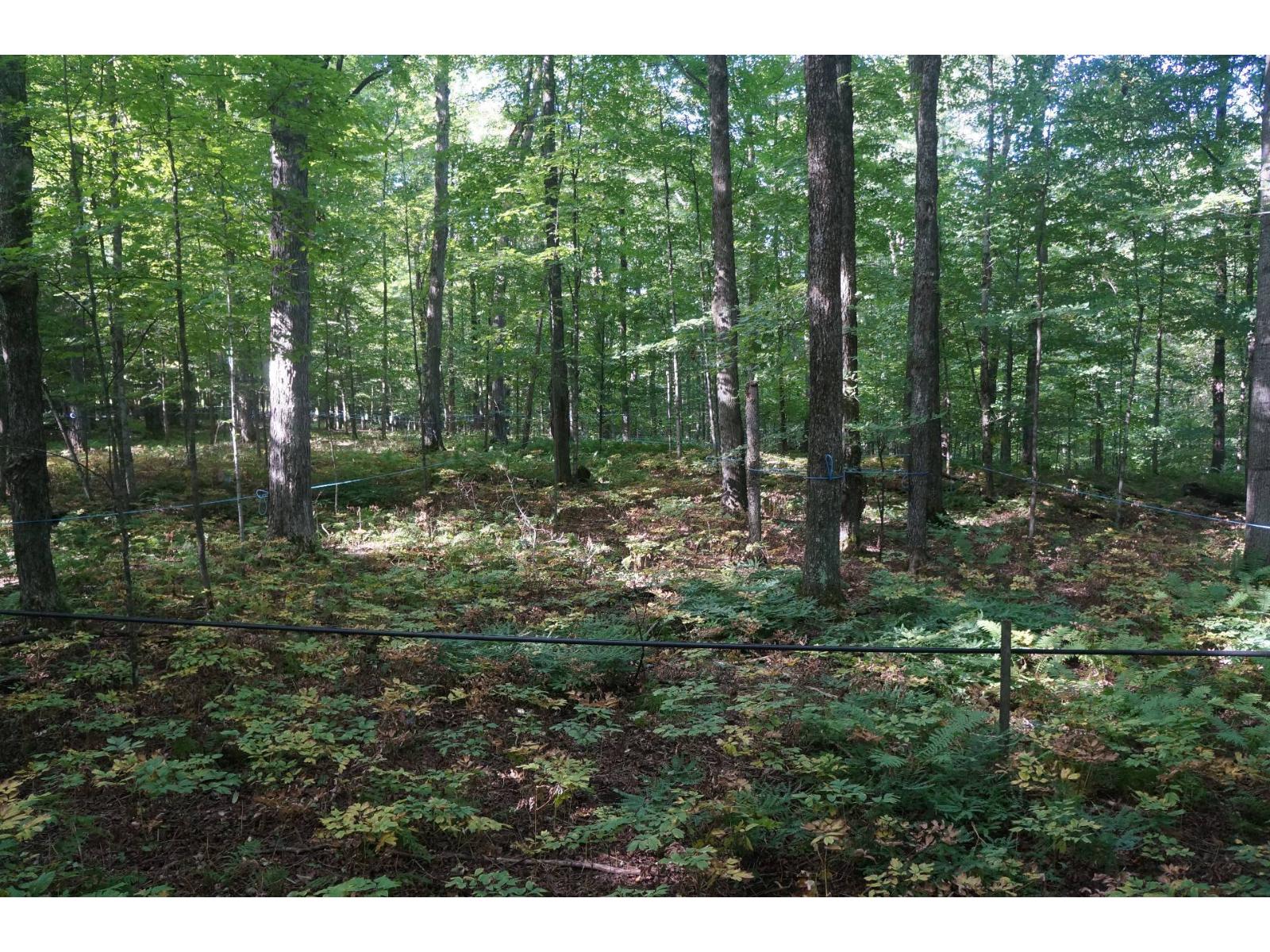 Ch. Dewey Property Photo 1