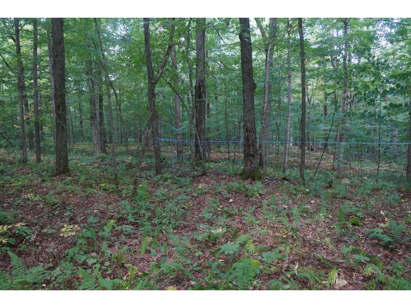 Ch. Dewey Property Photo 3