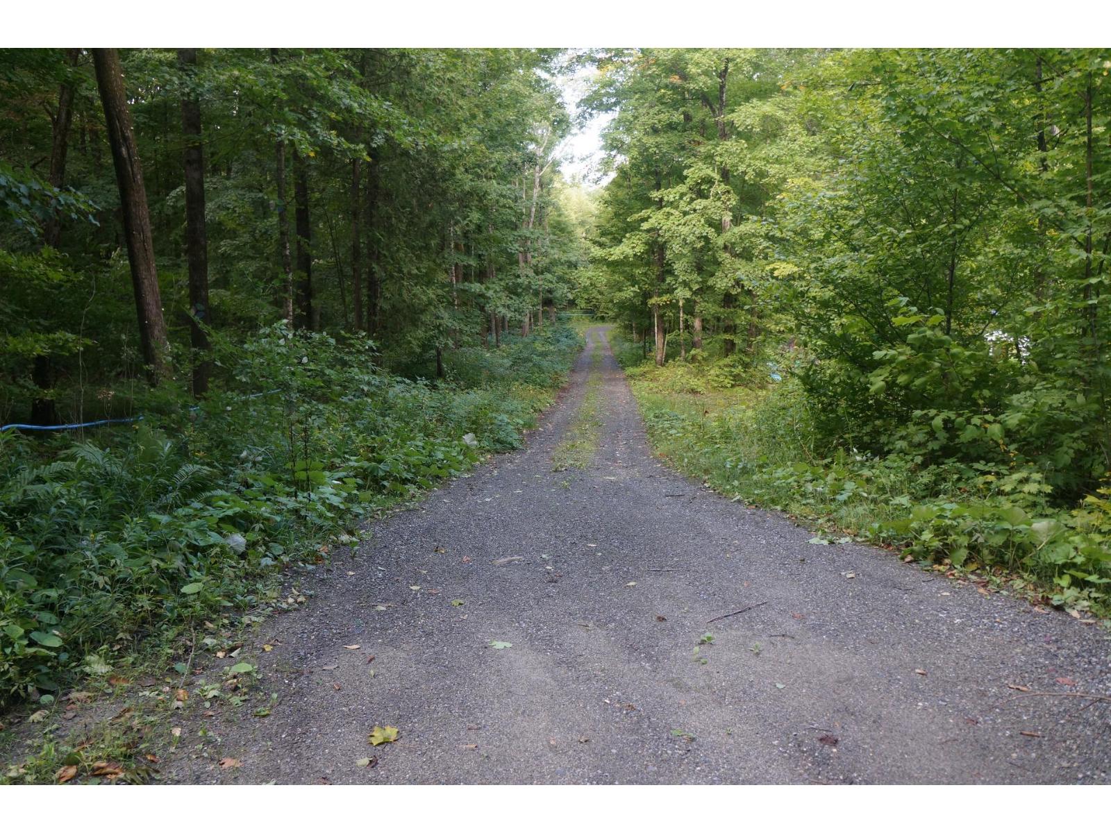 Ch. Dewey Property Photo 5