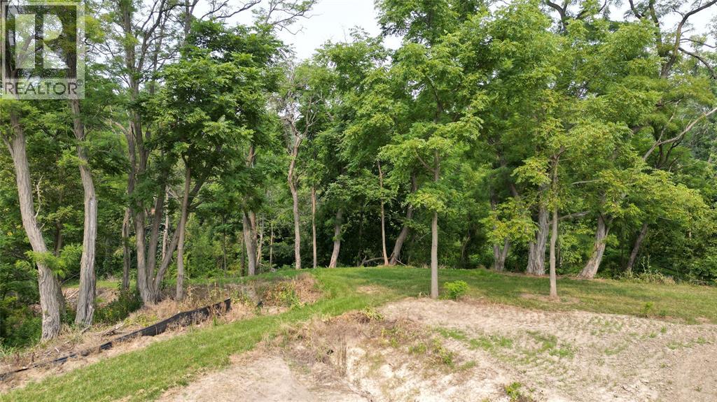 3403 Four Elms Court Property Photo 5