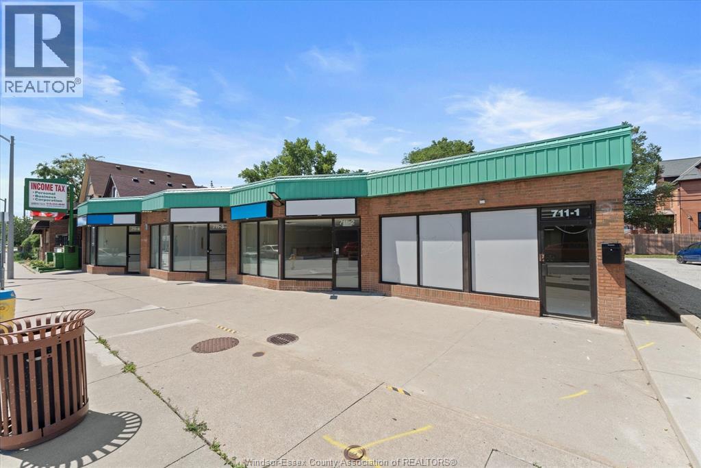 711-719 PELISSIER STREET Property Photo 1