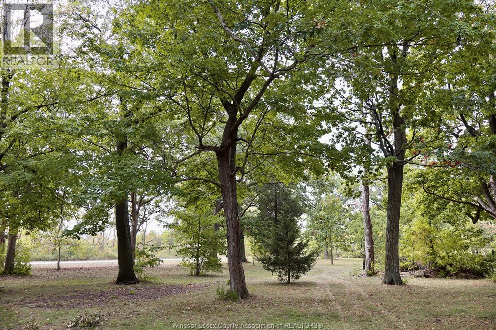 761 East West Road Property Photo 4