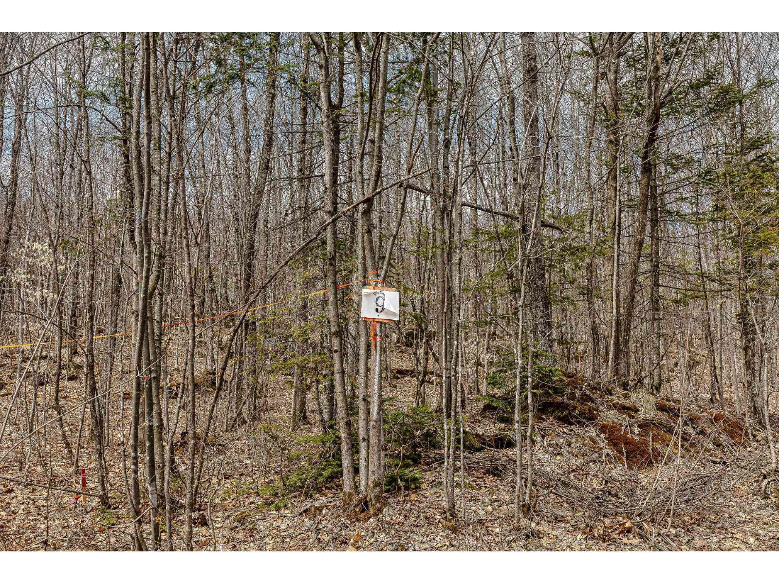 9 Ch. Du Lac-morgan Property Photo 2