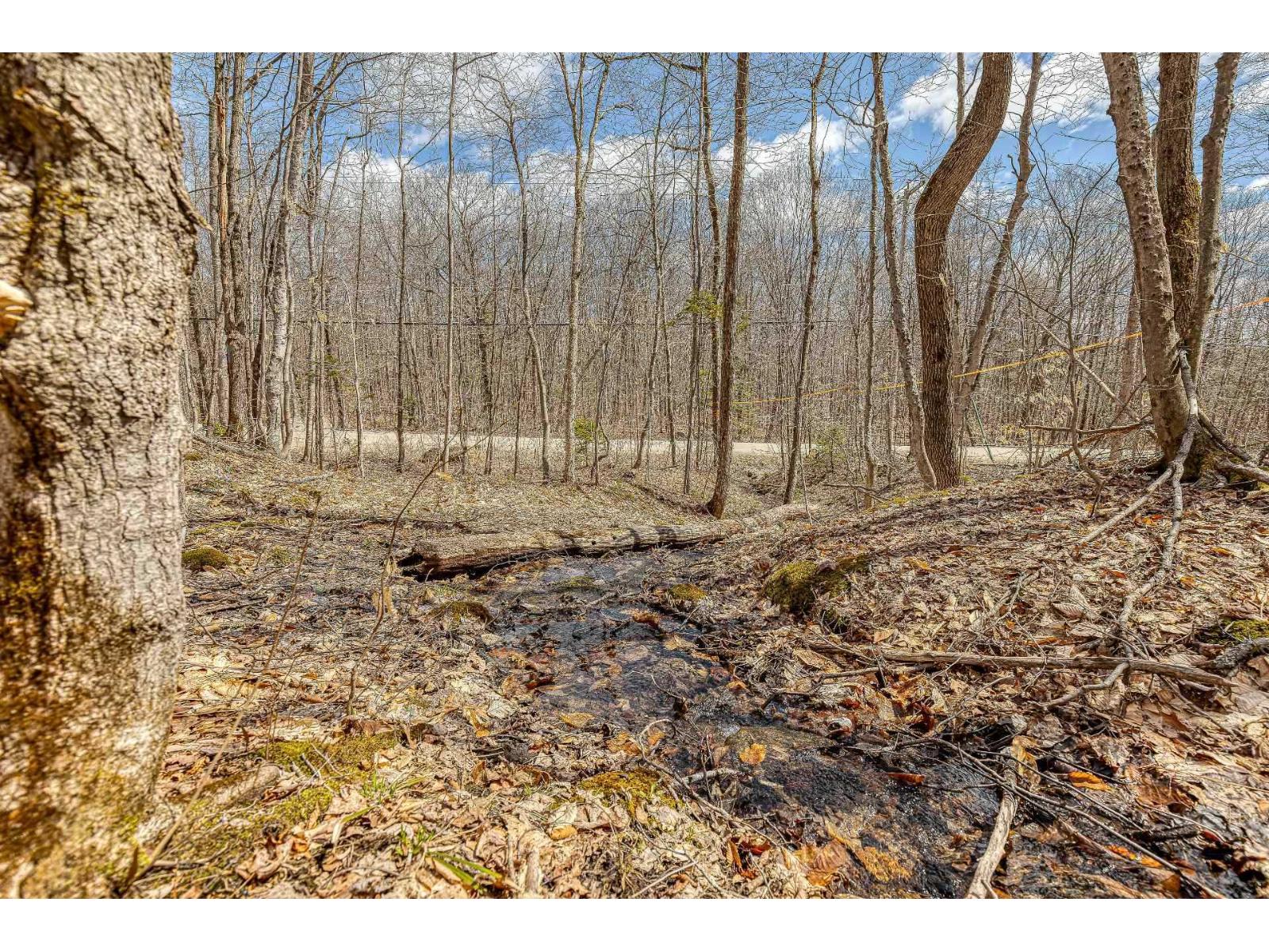9 Ch. Du Lac-morgan Property Photo 4