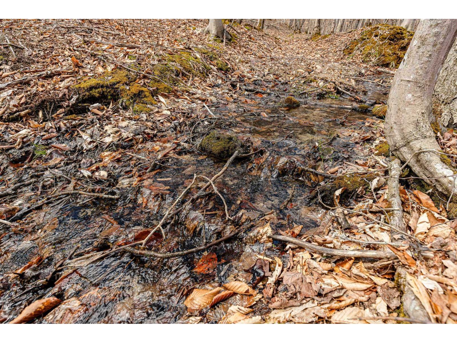 9 Ch. Du Lac-morgan Property Photo 6