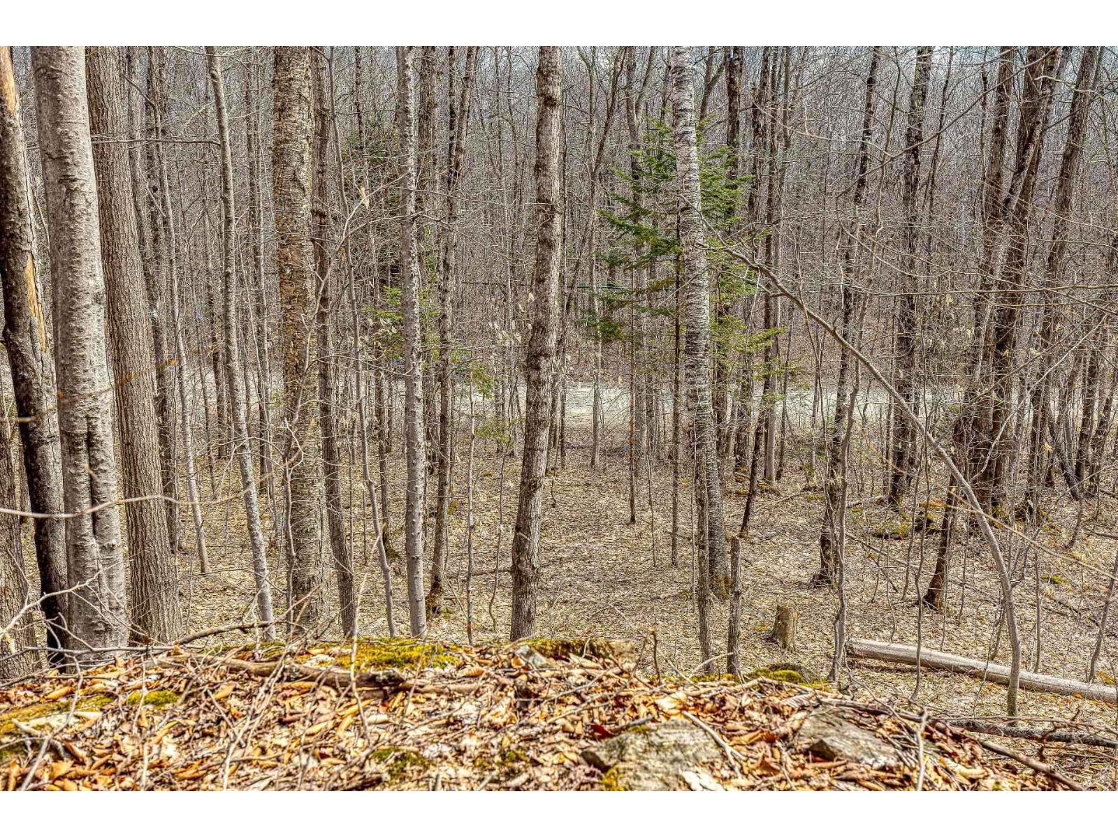 9 Ch. Du Lac-morgan Property Photo 8