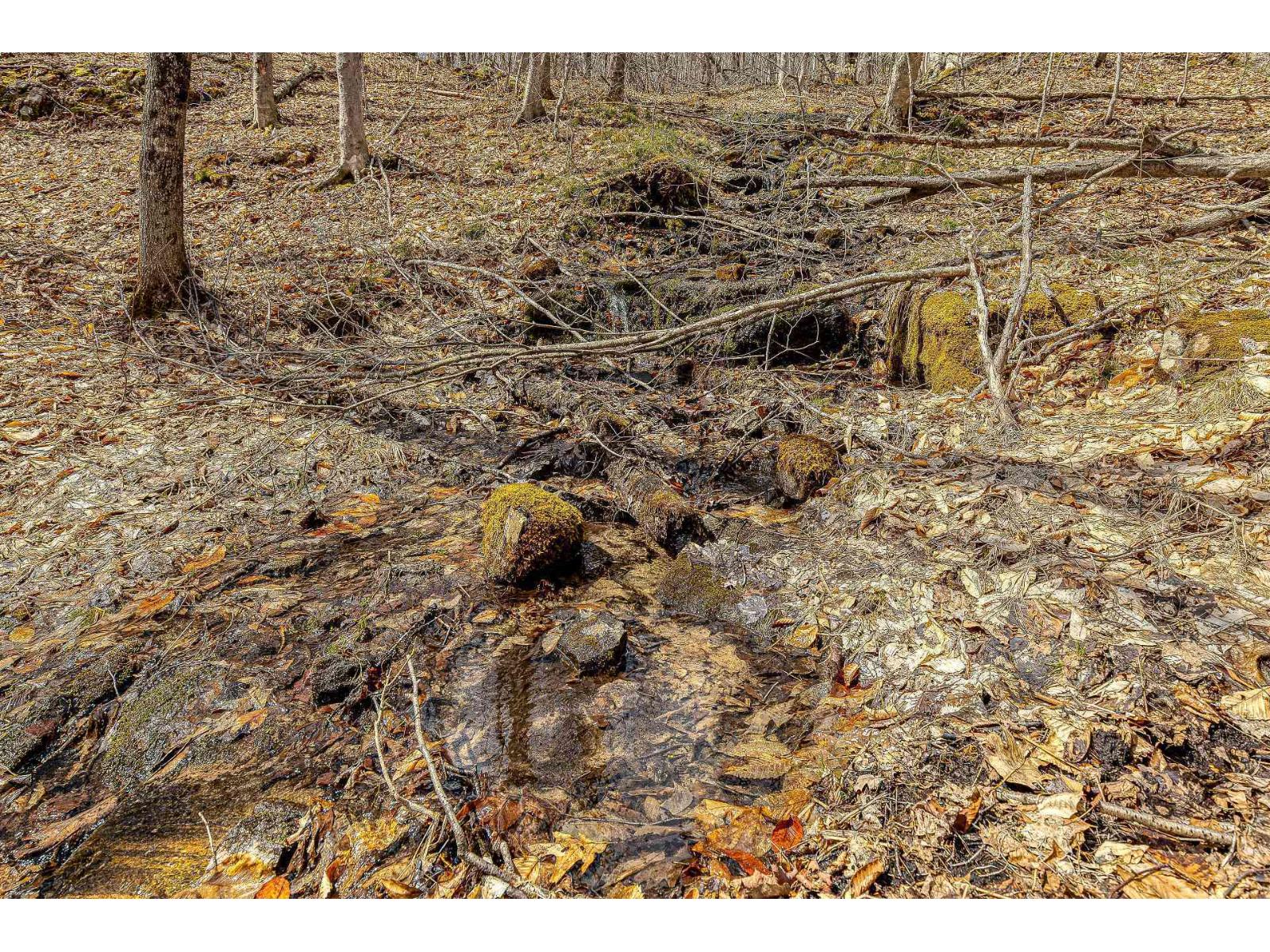 9 Ch. Du Lac-morgan Property Photo 11