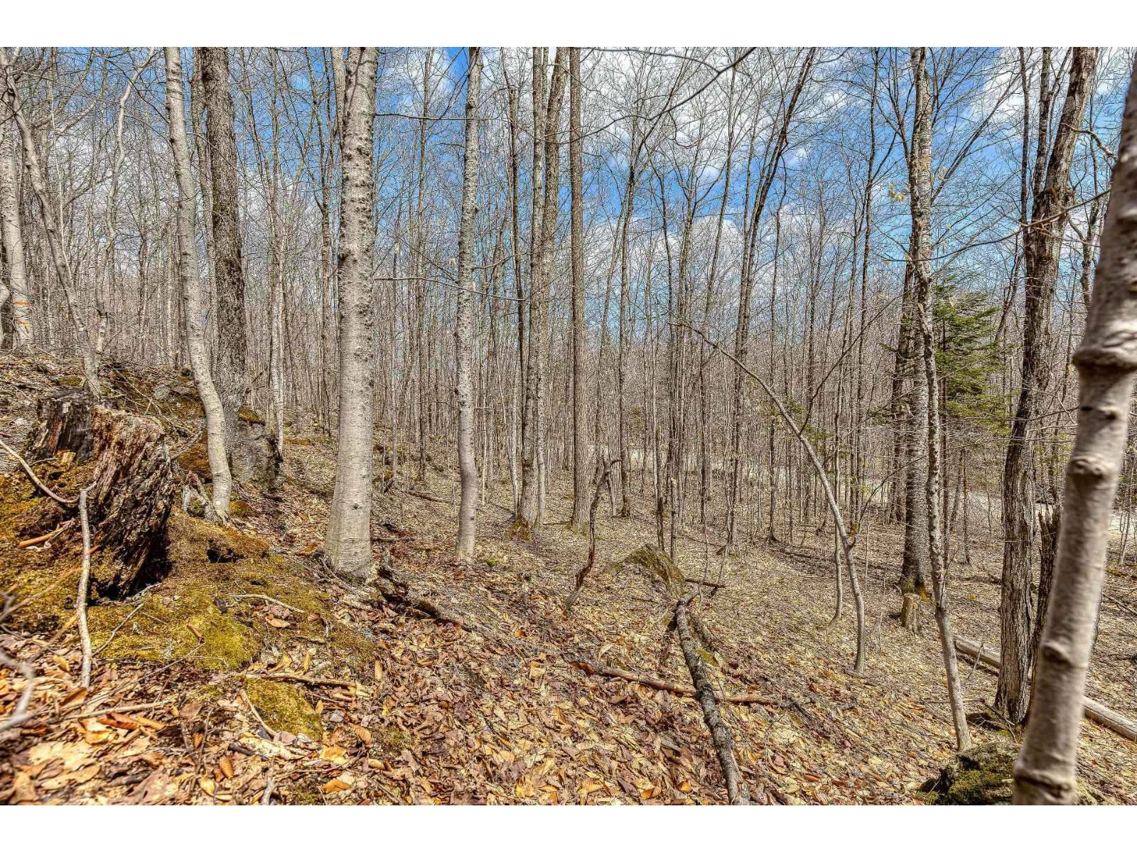9 Ch. Du Lac-morgan Property Photo 12
