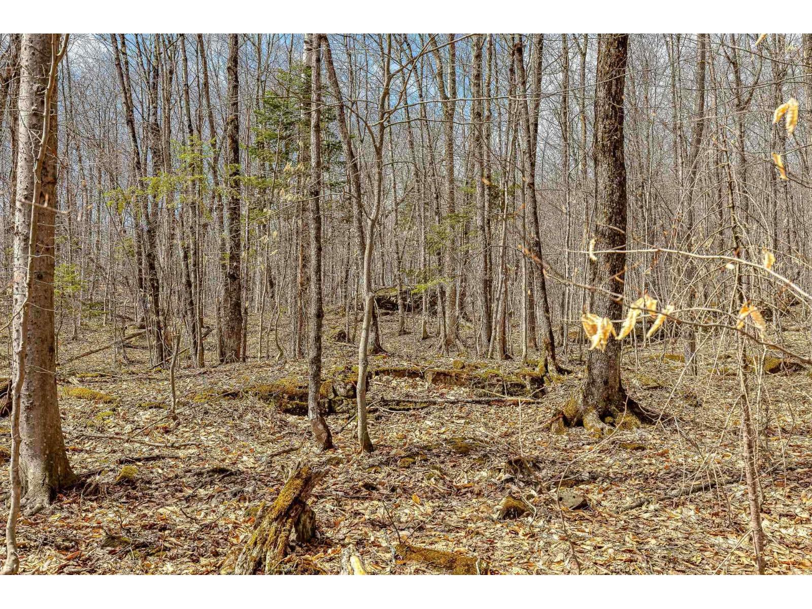 9 Ch. Du Lac-morgan Property Photo 13
