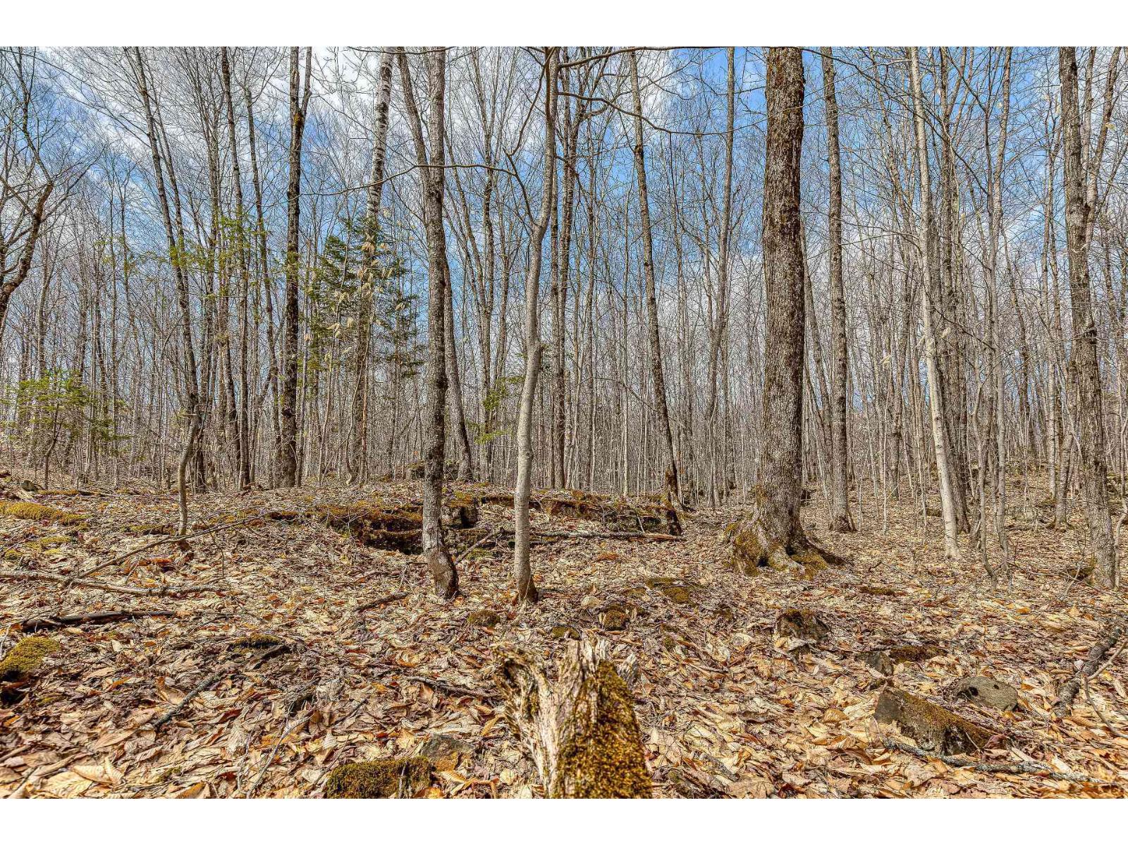 9 Ch. Du Lac-morgan Property Photo 14