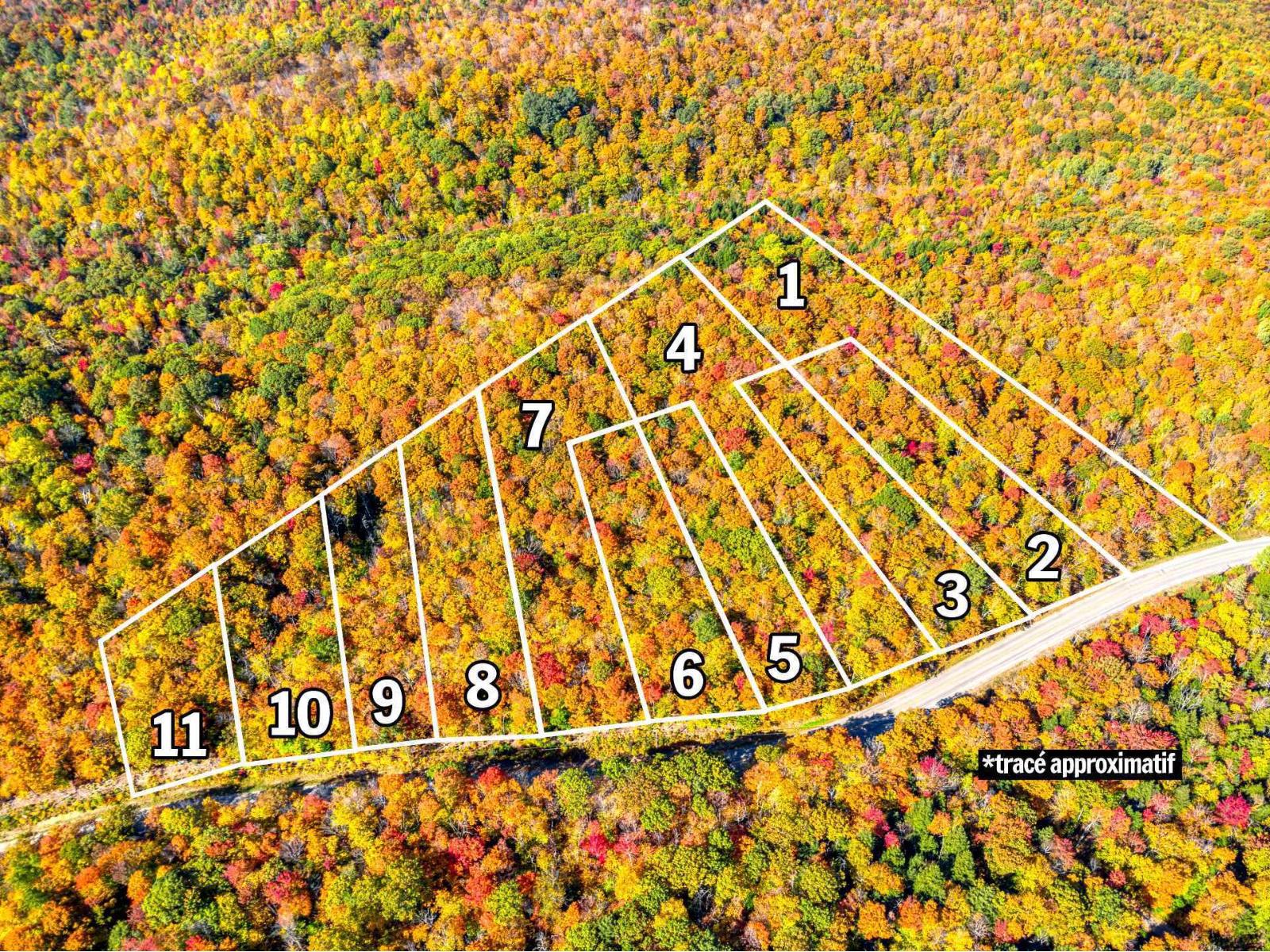 9 Ch. Du Lac-morgan Property Photo 18