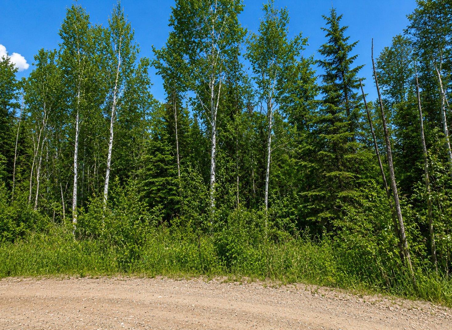 Ch. De La Baie-du-milieu Property Photo 3
