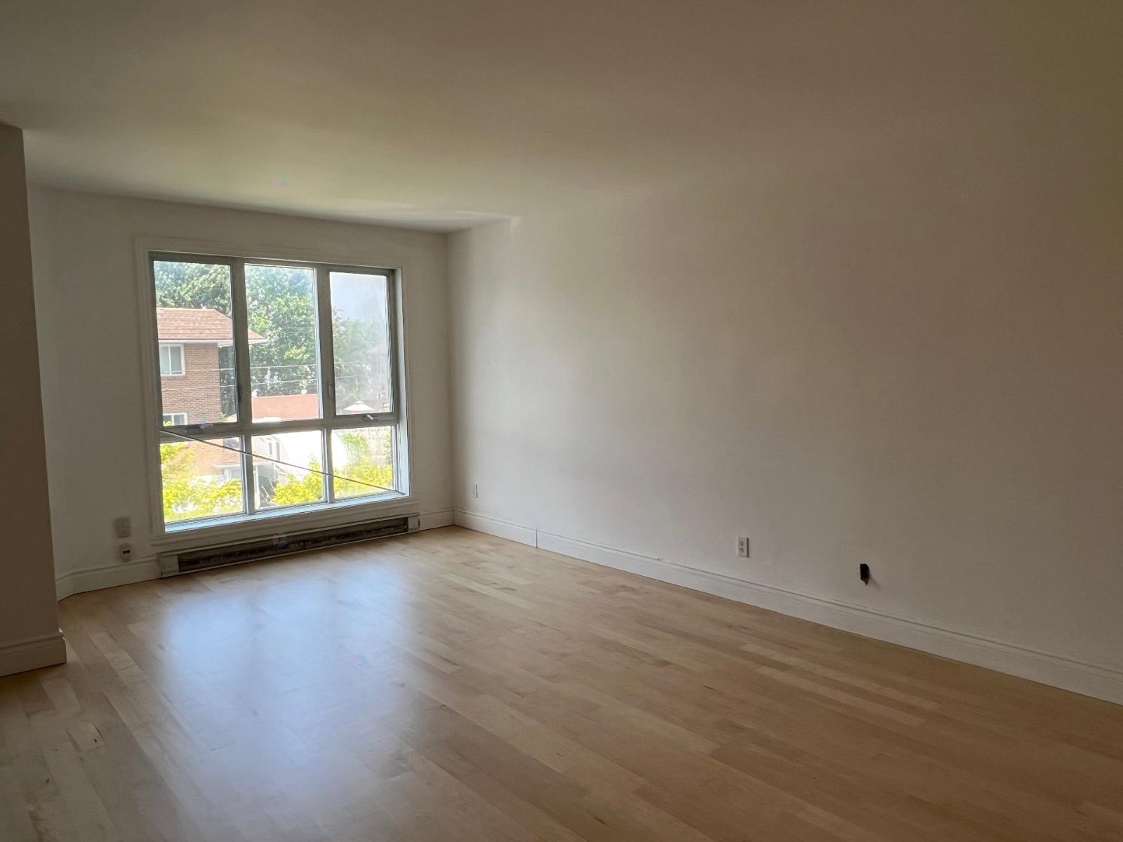 6020 Rue Auclair Property Photo 4