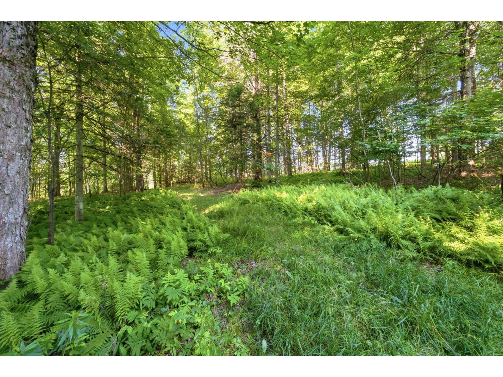 5336 Route 112 Property Photo 54