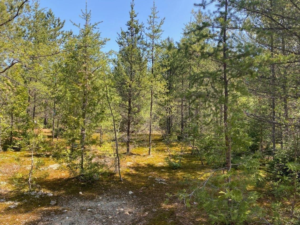 Av. Gagné Property Photo 3