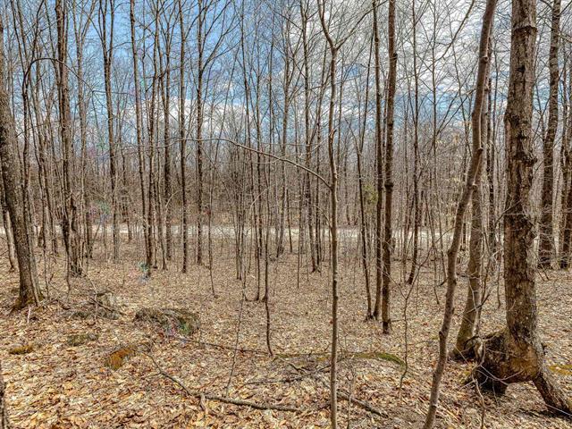 7 Ch. du Lac-Morgan Property Photo 1