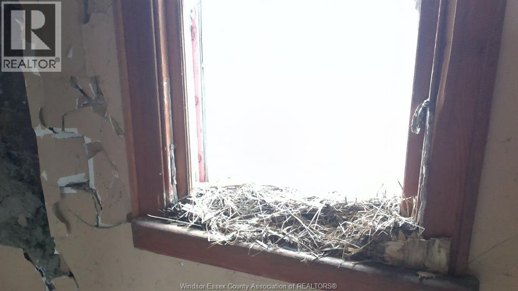 1817 Mersea Rd E Property Photo 16