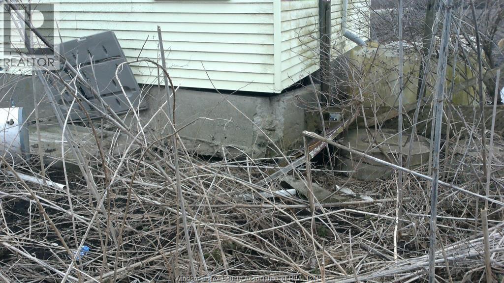 1817 Mersea Rd E Property Photo 34