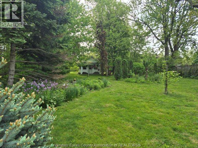 121 Division Street South Property Photo 38